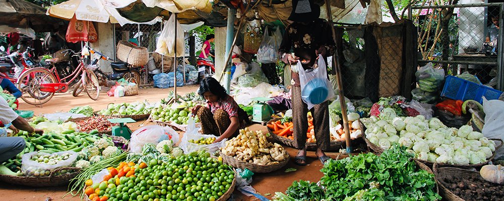 Black Fish, Red Earth, and Scams - Roluos Markets, Siem Reap, Cambodia - The Wise Traveller - IMG5075