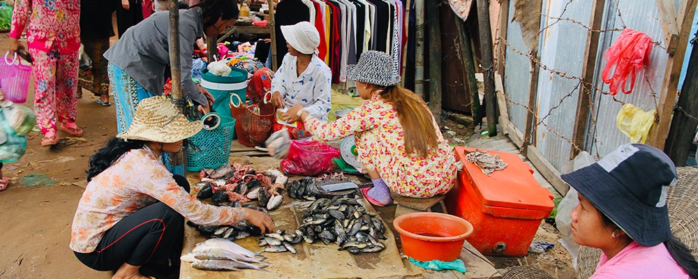 Black Fish, Red Earth, and Scams - Roluos Markets, Siem Reap, Cambodia - The Wise Traveller - IMG5167