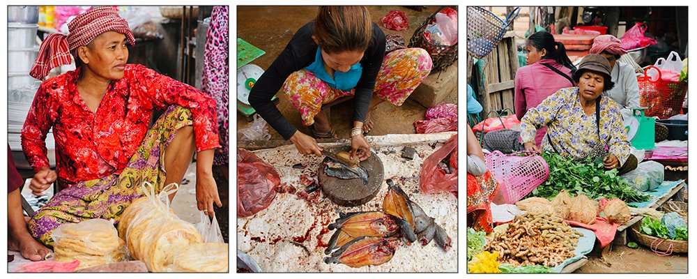 Black Fish, Red Earth, and Scams - Roluos Markets, Siem Reap, Cambodia - The Wise Traveller - Market