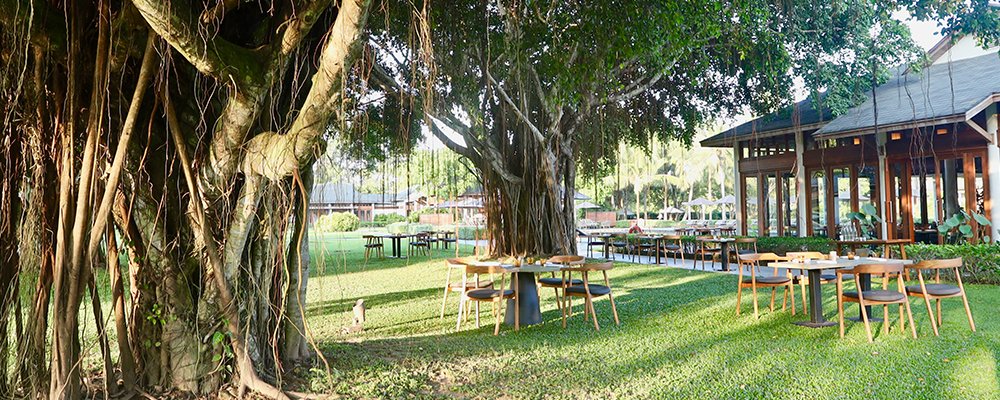 Bliss amidst the Banyan Trees - Azerai Can Tho - Vietnam - The Wise Traveller - dine under the bamboo trees