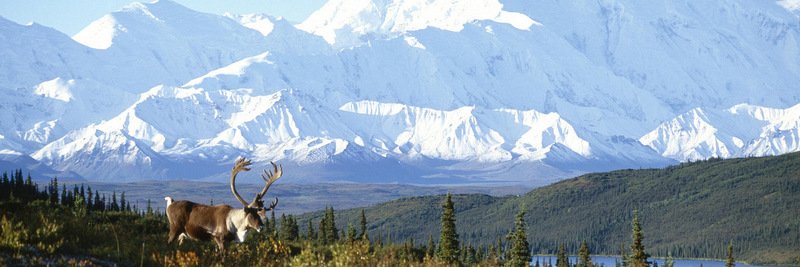 7 Winter Wonderlands - The Wise Traveller - Alaska