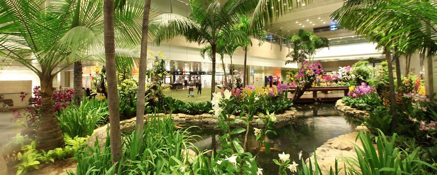 Changi Airport Gardens