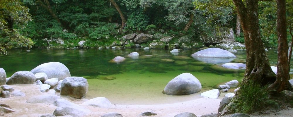 Chasing Ulysses - The Daintree—Cape Tribulation - Far North Queensland - The Wise Traveller - Mossman Gorge