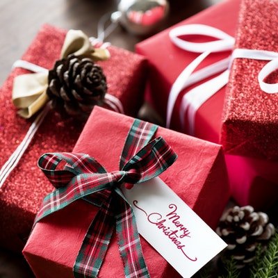 Christmas Gifts for Travellers - The Wise Traveller - Christmas Gifts