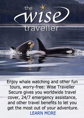 Join Wise Traveller now to be covered for your next whale watching trip.