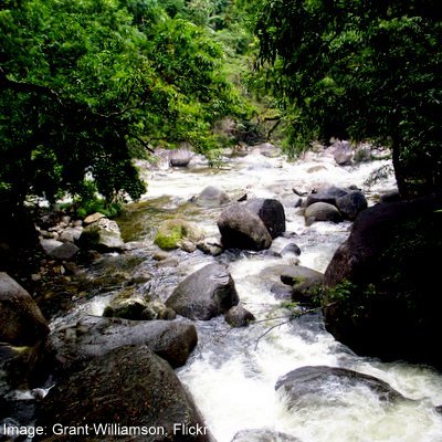 Chasing Ulysses - The Daintree—Cape Tribulation - Far North Queensland - The Wise Traveller - Mossman River