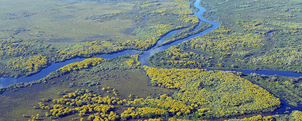 Dazzling and Not Dangerous - Cities to Love in Brazil - The Wise Traveller - Pantanal