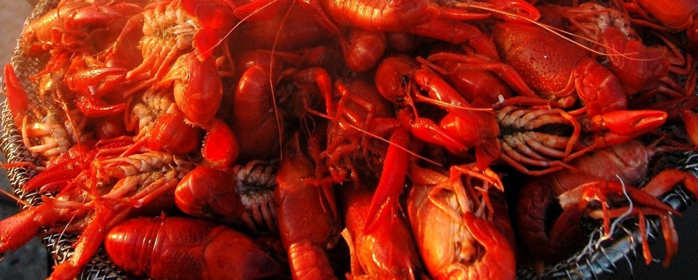 Dining Out in New Orleans - The Wise Traveller - Crawfish