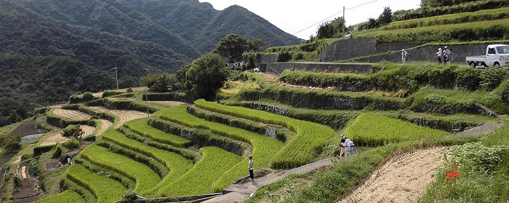 Discover the UN's Best Tourism Villages - The Wise Traveller - Shodoshima