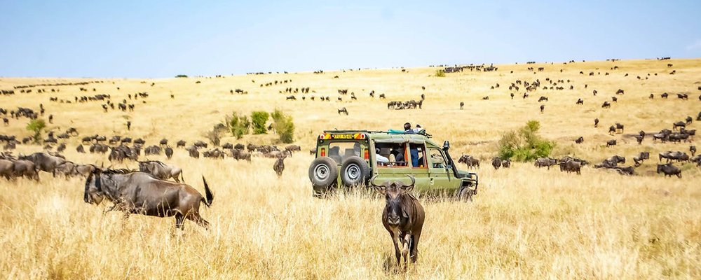 Discovering Kenya - Top Adventures and Experiences - The Wise Traveller - Migration