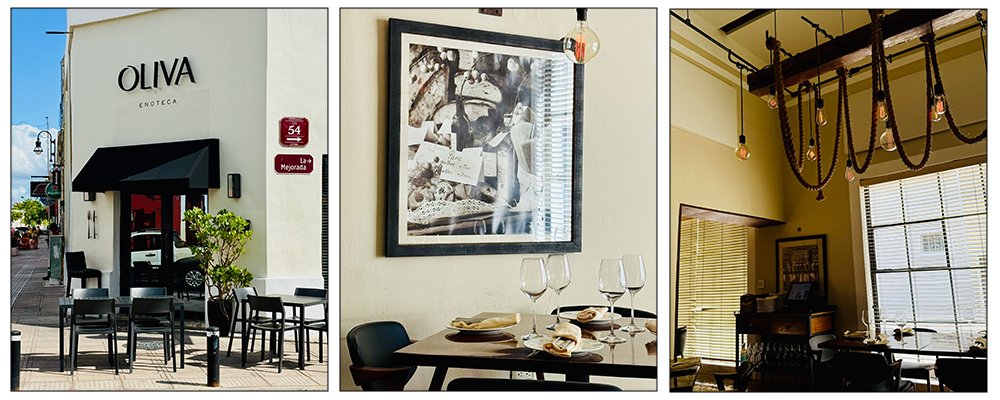 Dribble and drool - Merida Restaurants - Mexico - The Wise Traveller - Oliva