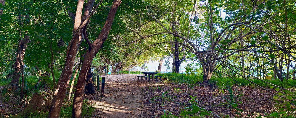 Dunk Island Reborn - Queensland, Australia - The Wise Traveller - IMG_8891