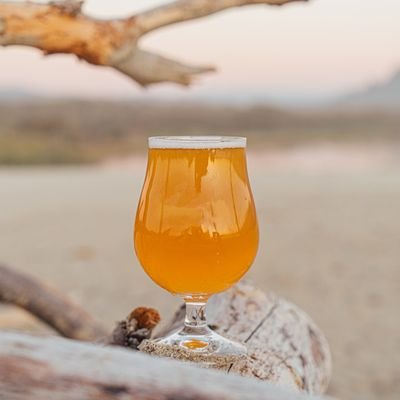 East Coast vs West Coast Craft Brews - the Debate Continues - The Wise Traveller - Beer Glass