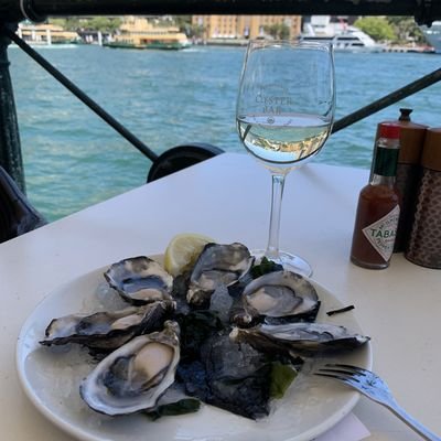 Eating Oysters - Oyster Bar - Circular Quay - Sydney - Australia - The Wise Traveller - IMG_3338