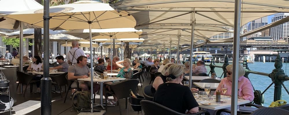 Eating Oysters - Oyster Bar - Circular Quay - Sydney - Australia - The Wise Traveller - IMG_3353