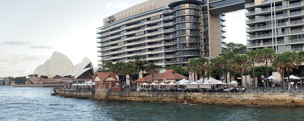 Eating Oysters - Oyster Bar - Circular Quay - Sydney - Australia - The Wise Traveller - IMG_3467