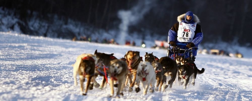 Eight Reasons Why You Should Visit Scandinavia This Year - The Wise Traveller - Dog Sledding