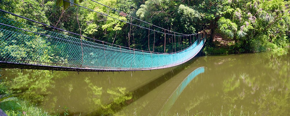 Exploring Sandakan - Sabah - The Wise Traveller - Skywalk