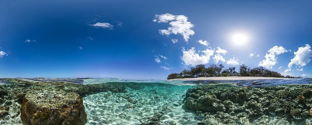 Family Reef Playgrounds - The Wise Traveller - Lady Elliot Island