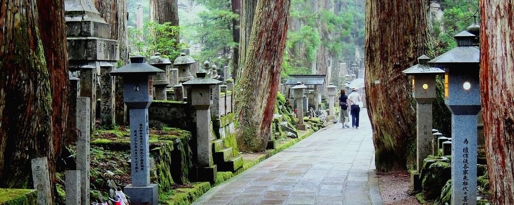 Five City Antics You Can Get Up To - The Wise Traveller - Koyasan