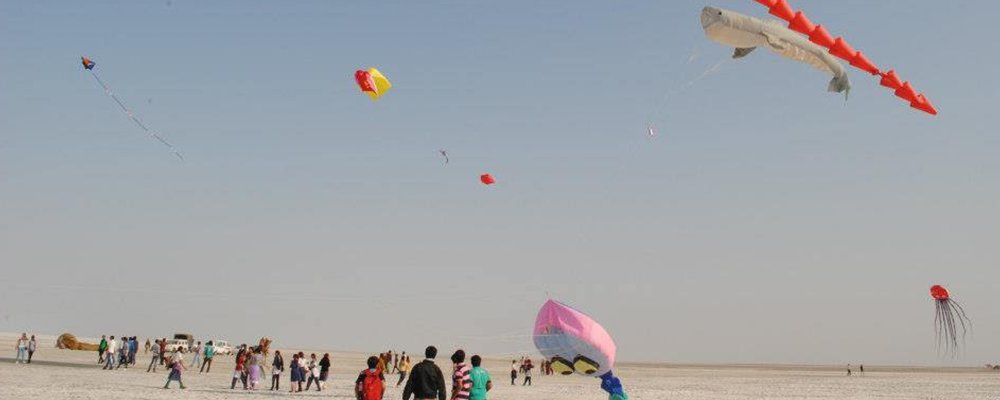 Flying Kites - India - The Wise Traveller - Makar_Sankranti