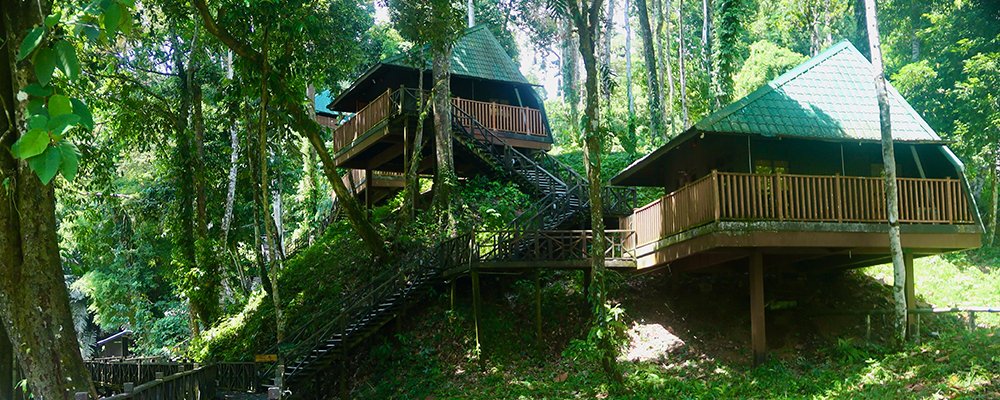 FOMO in the Jungle - Tabin Wildlife Resort - Sabah, Borneo - Cabin view