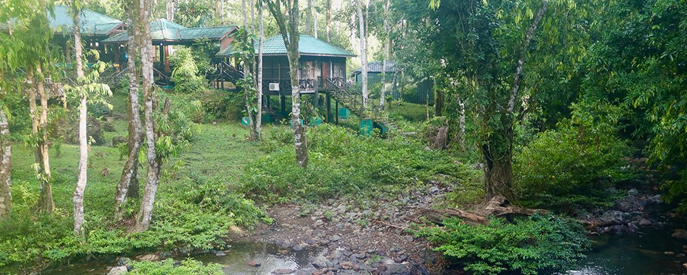 FOMO in the Jungle - Tabin Wildlife Resort - Sabah, Borneo - Cabins