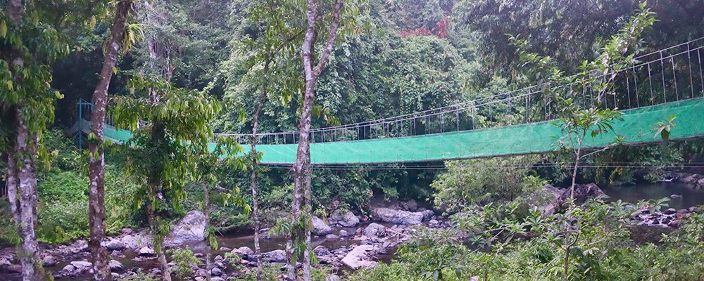 FOMO in the Jungle - Tabin Wildlife Resort - Sabah, Borneo - Hanging Bridge