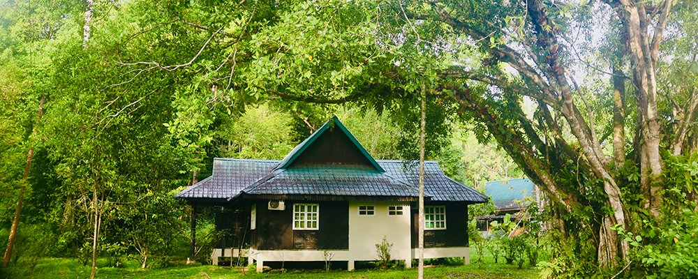 FOMO in the Jungle - Tabin Wildlife Resort - Sabah, Borneo - Stay