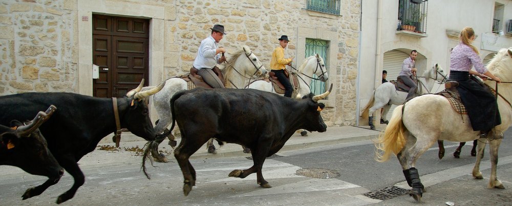 Bull Fighting in France - Camargue - The Wise Traveller