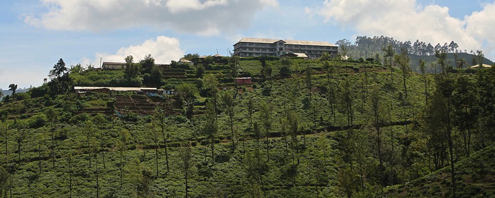 From Badulla to Colombo - Picturesque Train Rides of Sri Lanka - The Wise Traveller - Hilly Views