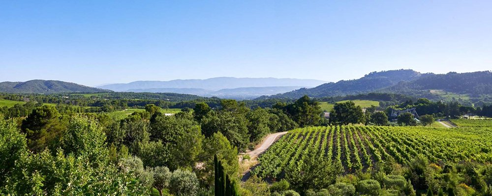 From Palate to Pallete - Wineries With Art Galleries - The Wise Traveller - Château La Coste