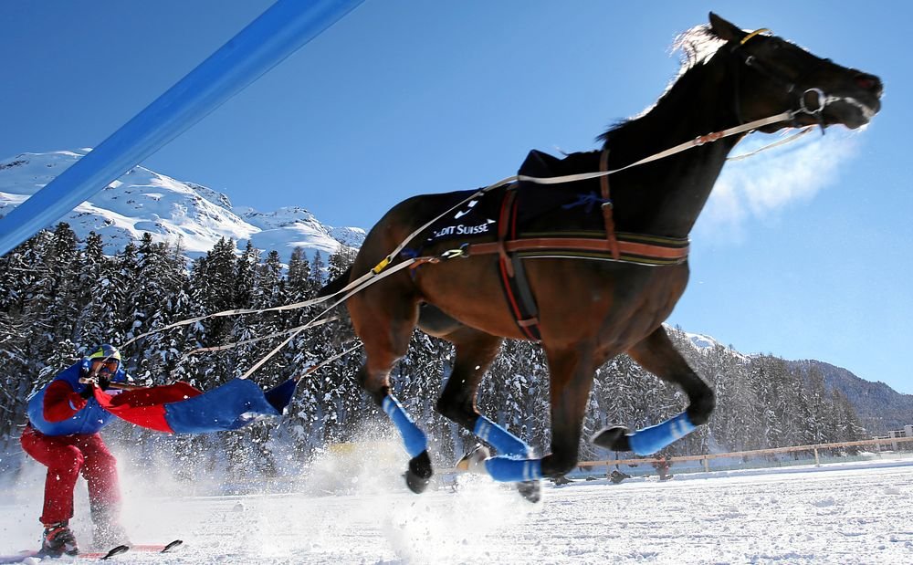 From Snow Polo and Skiing to Toboggan Runs - Winter Sports in St. Moritz - Switzerland - The Wise Traveller - White Turf Skijöring Race by Andy Mettler