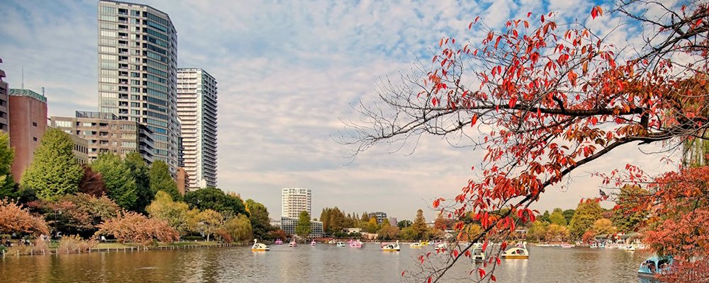 Get Set for Tokyo and the 2025 World Athletics Championships - The Wise Traveller - Ueno Park