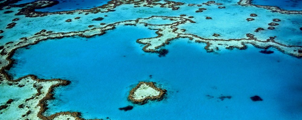 Why You Should Visit The Great Barrier Reef Now - The Wise Traveller