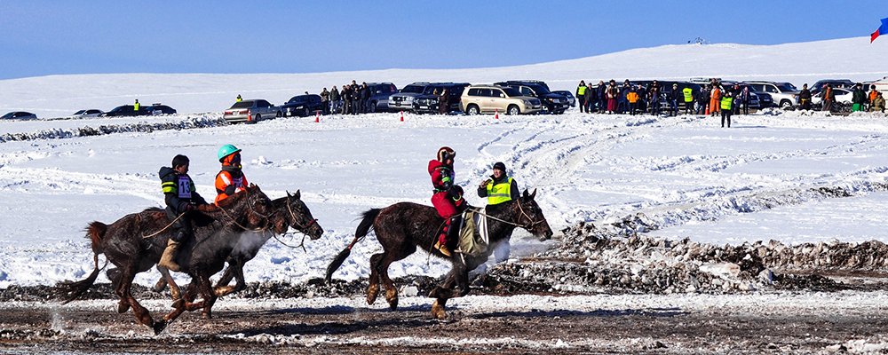 Horses, Eagles and Eating Boodog - Mongolia - The Wise Traveller - Horse Race