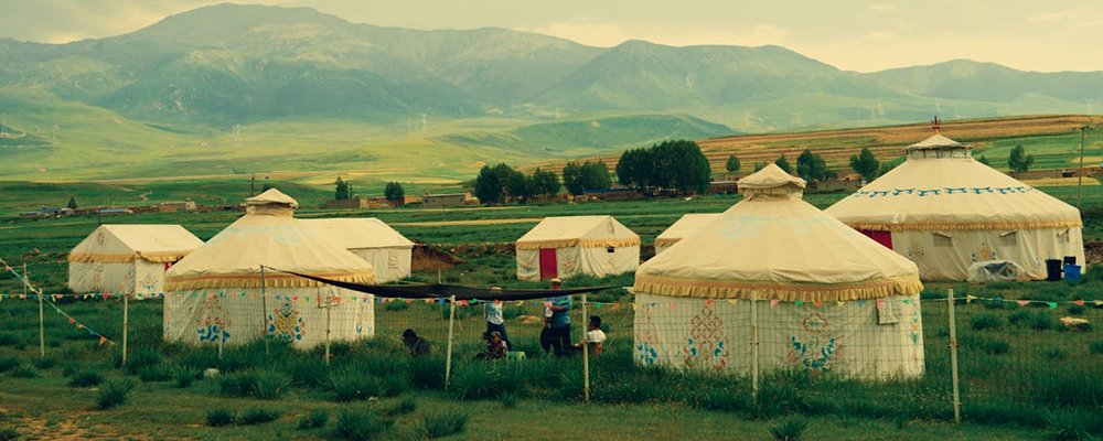 Horses, Eagles and Eating Boodog - Mongolia - The Wise Traveller - yurts