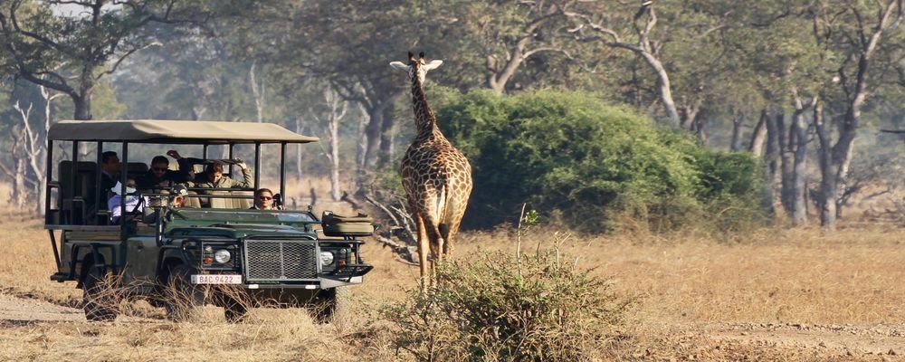 Hotel Review - Mfuwe Lodge - South Luangwa National Park - Zambia - The Wise Traveller - Jeep