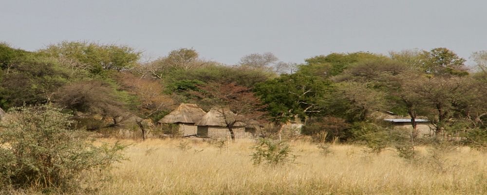 House Sitting in Zambia - The Wise Traveller - IMG_0294