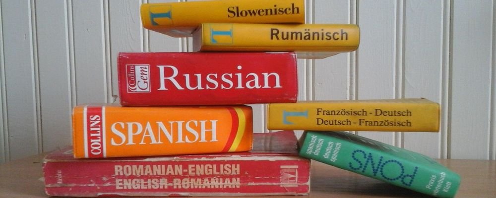 How to Learn a New Language During Lockdown - The Wise Traveller - Dictionary