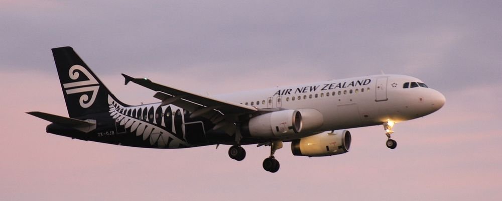 How to Offset Your Carbon Footprint When Travelling - The Wise Traveller - Air New Zealand