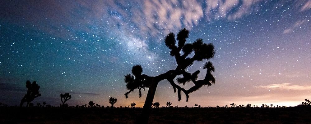How to Spend 24 Hours in Joshua Tree - California - The Wise Traveller - Night Sky