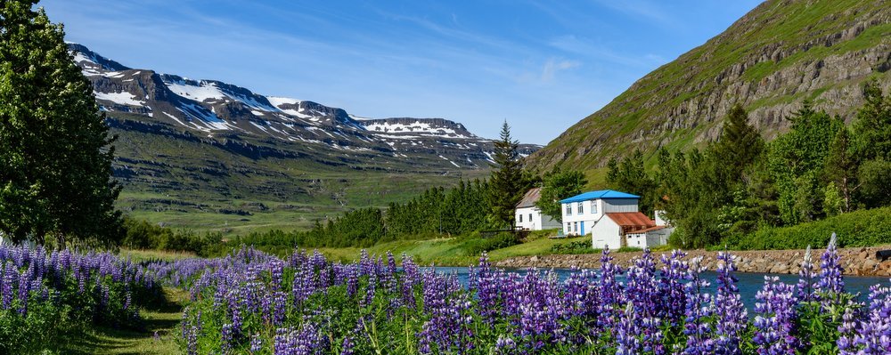 How to Visit Iceland on a Budget - The Wise Traveller