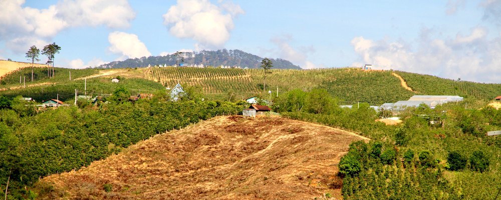 A Different Look at Nha Trang - The Wise Traveller