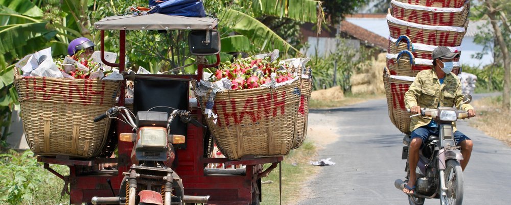 Ho Chi Minh and the food bowl of the Mekong Delta - The Wise Traveller