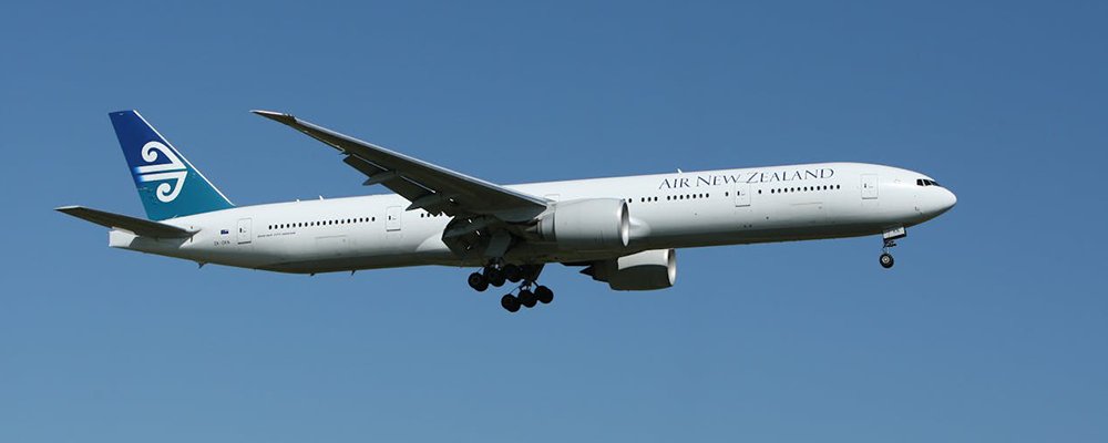 Is Your Airline The Best in The Sky? - The Wise Traveller - Air New Zealand