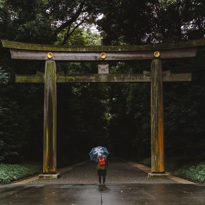 Japan National Day - The Wise Traveller - Meiji shrine