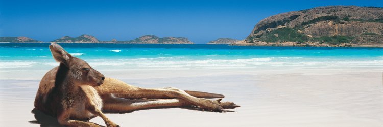 5 Unknown Australian Beaches - The Wise Traveller