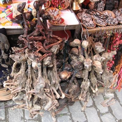 La Paz - The city in the sky - The Wise Traveller - Witches Market