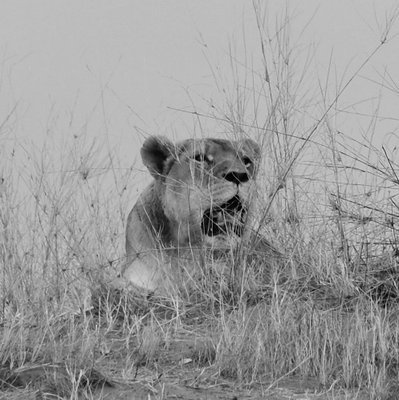 The Enormity of Namibia - The Wise Traveller